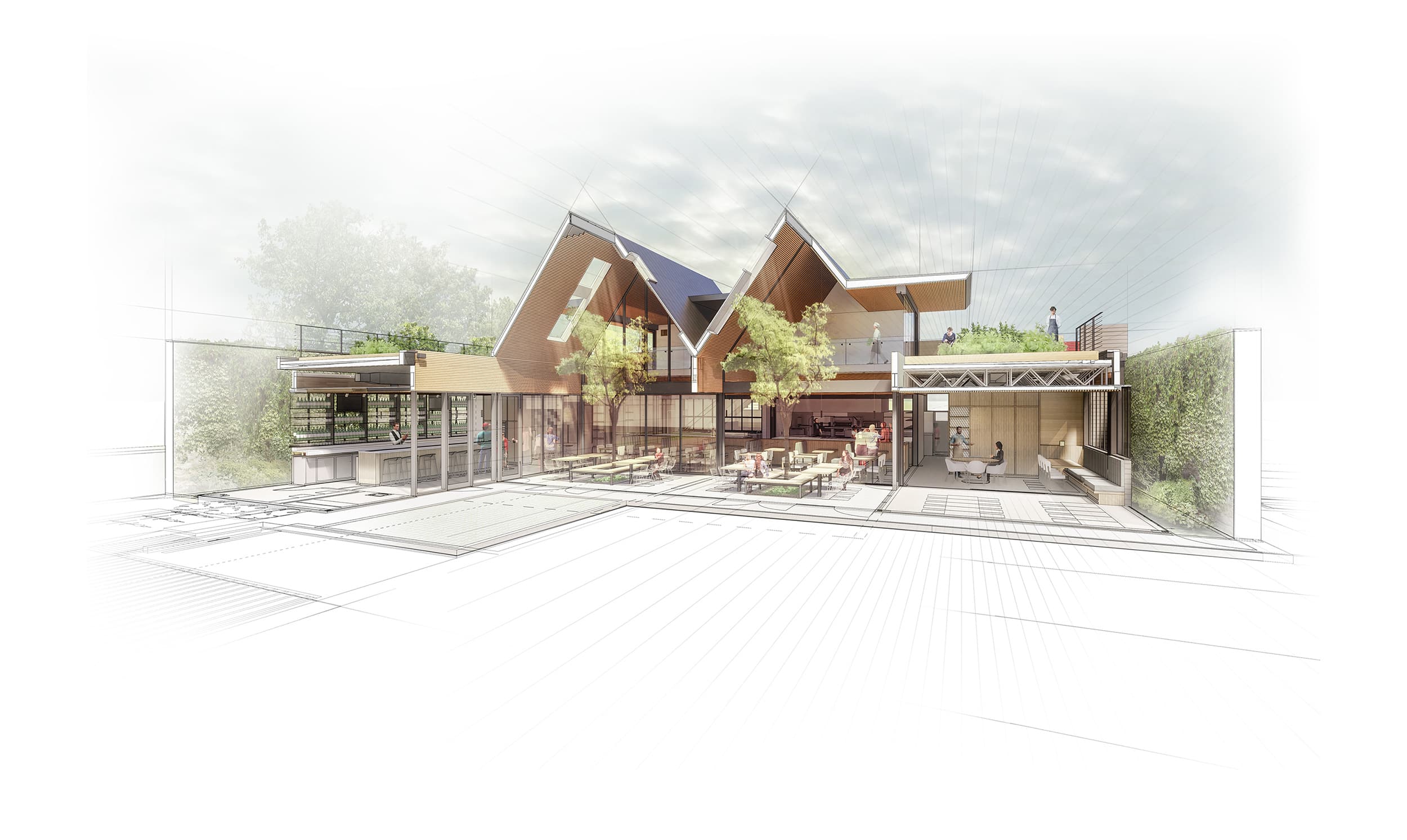 Sketch of Westheimer