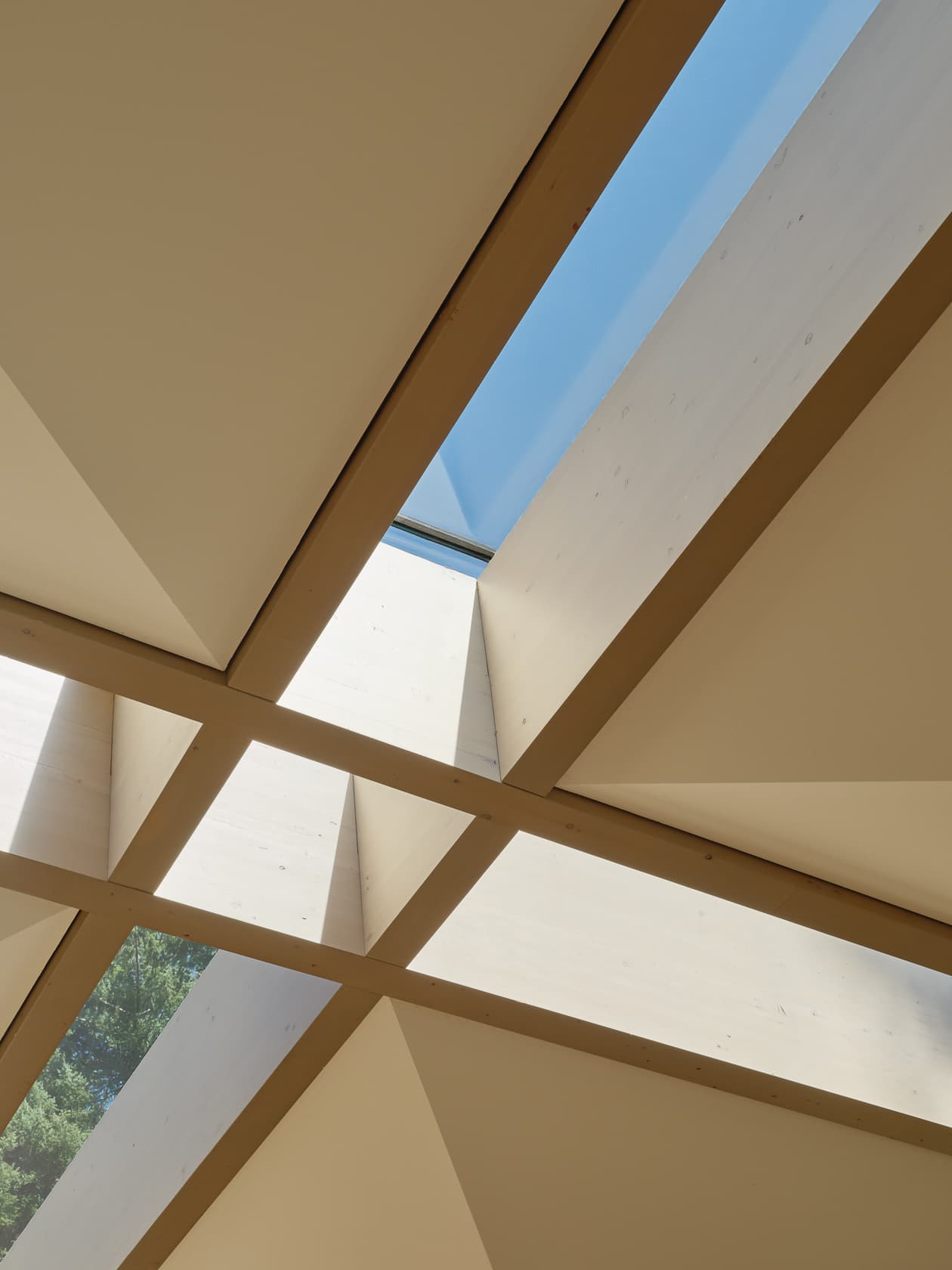 Geometric light wood ceiling with skylights showing a clear blue sky.